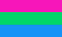 Polysexual Polysexual